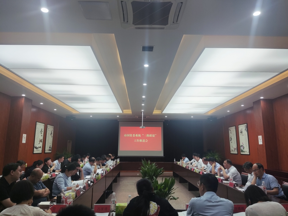 2024年7月17日，市國(guó)資委系統(tǒng)在公司開展“三組聯(lián)建”現(xiàn)場(chǎng)觀摩（推進(jìn)會(huì)）_副本